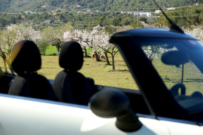 Almendros en flor en Santa Agnès de Corona