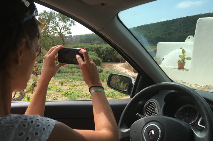 alquiler de coches en Ibiza