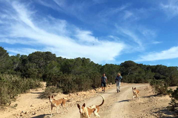 Ruta de senderismo en Ibiza. Cala Bassa - Platges de Comte