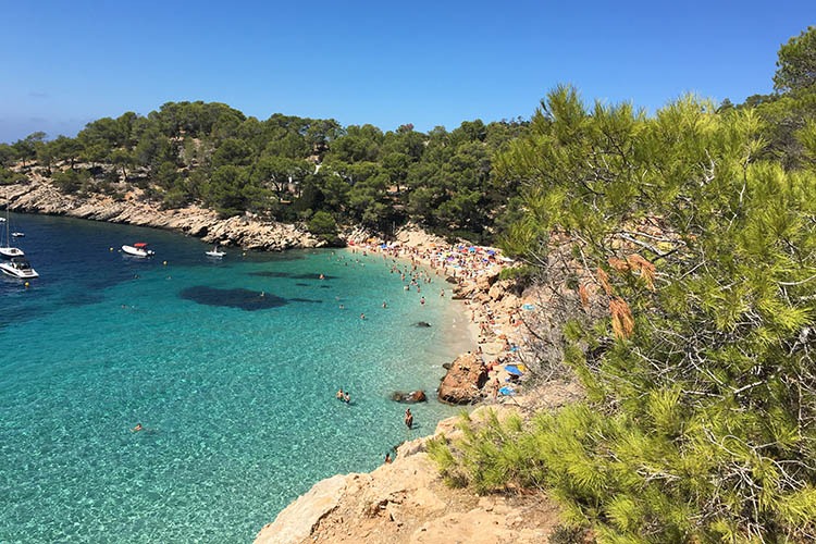cala saladeta playa más bonita ibiza san antonio
