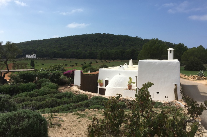 ruta en moto san antonio Ibiza alquiler
