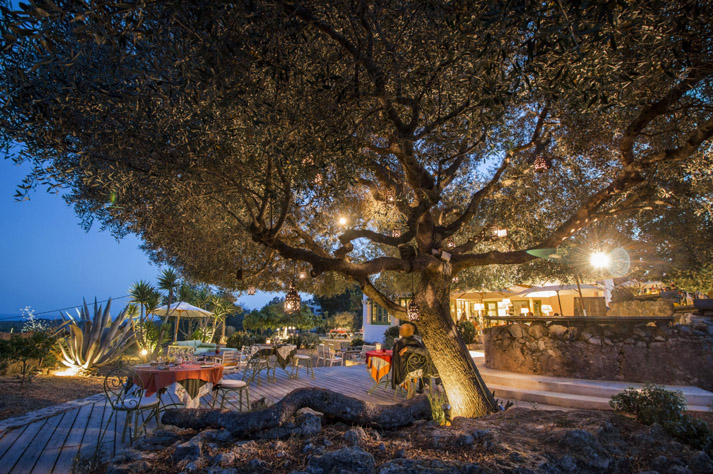restaurantes Ibiza con jardin Can Domingo